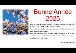 Image de l'actu 'Bonne année 2025'